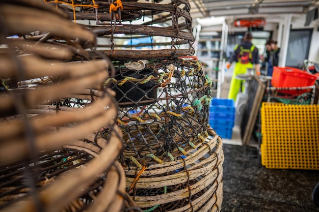 Attraper du homard vivant en Amérique Pêcher des écrevisses en Tasmanie Australie prête pour le nouvel an chinois