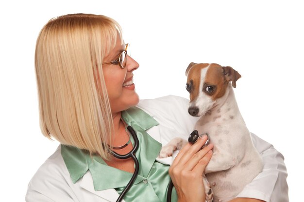 Photo une attrayante médecin vétérinaire avec un petit chiot.