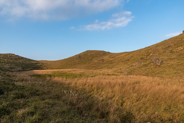 Au crépuscule, la prairie dorée est sous le ciel bleu