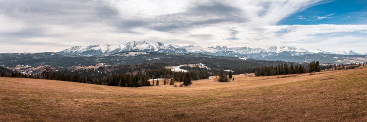 Photo au début du printemps, les sommets des tatras couverts de neige fondent dans les pâturages de montagne.