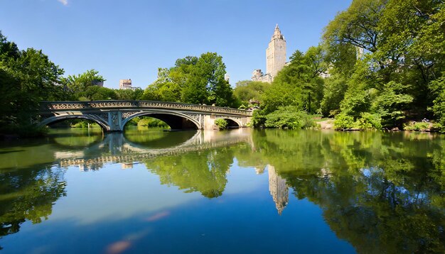 Photo au-dessus du pont avec la rivière et l'arbre vert