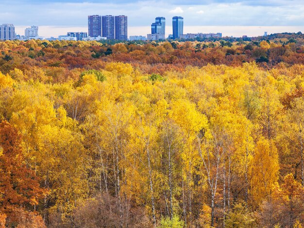 Au-dessus de la vue du parc coloré de la ville le matin d'automne