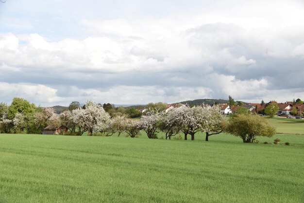 Photo au feld et au flur