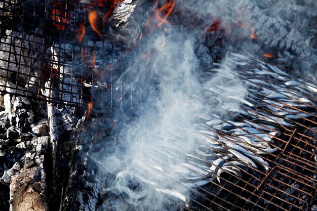 Au feu de bois et poissons sur le gril Anchois