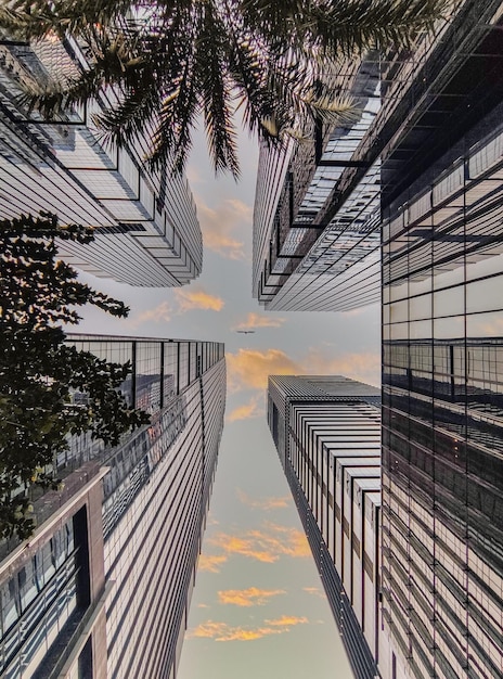 au milieu d'un gratte-ciel. Vue grand angle basse du verre convergent et de l'acier contemporain