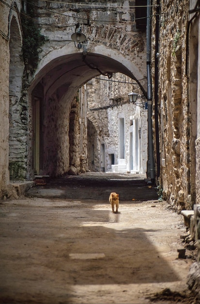 Au milieu de la journée à Chios