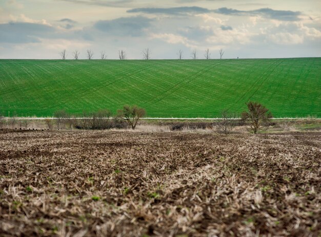 Au premier plan de gros morceaux de terre d'un champ labouré, à l'arrière-plan d'un champ vert