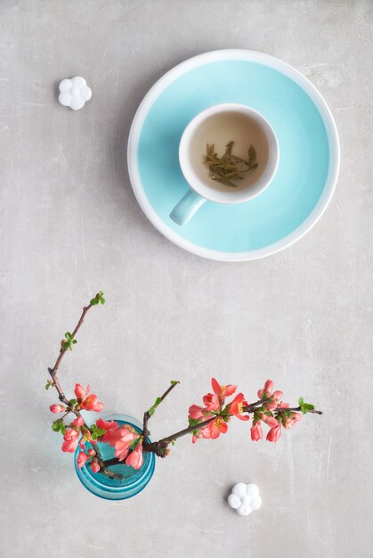 Au printemps, étendez une tasse de thé vert et de fleurs de coings japonais sur une pierre grise, copyspace -