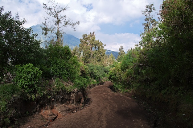 Au sommet du volcan Ijen, Indonésie