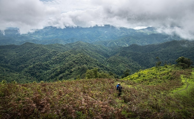 au sommet d'un sommet de montagne en Thaïlande. forêt tropicale en hiver avec chaîne de montagnes,