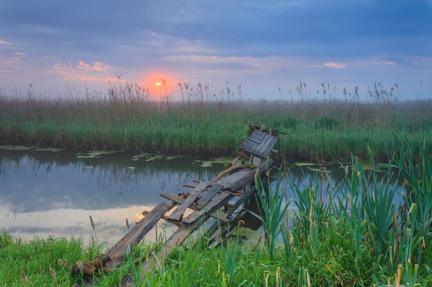 Aube brumeuse sur la rivière