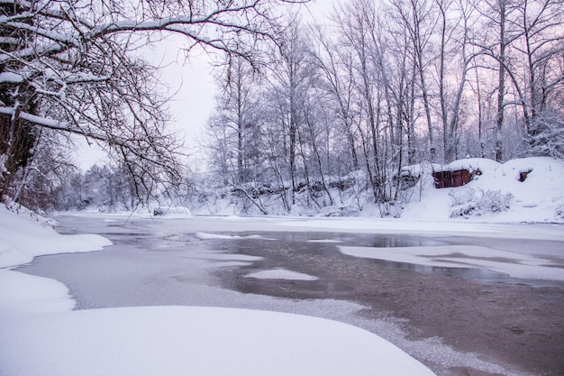 L&#39;aube du matin sur la rivière. Ciel rose Paysage d&#39;hiver. La nature en dehors de la ville.