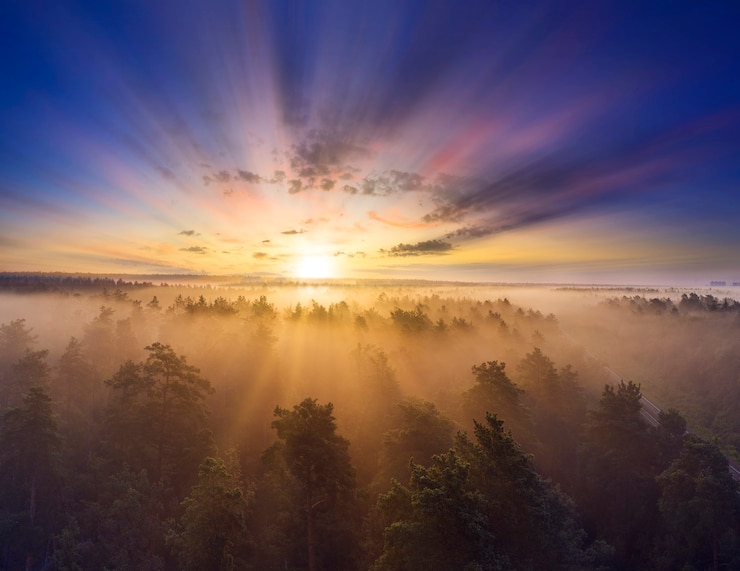Photo l'aube sur la forêt. magnifique paysage du matin d'été.