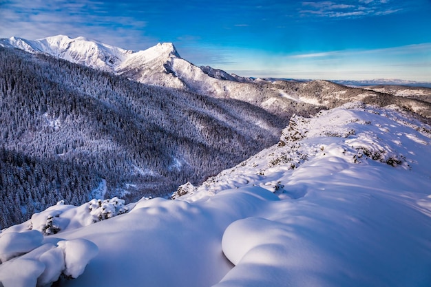 Aube froide dans les Tatras Pologne