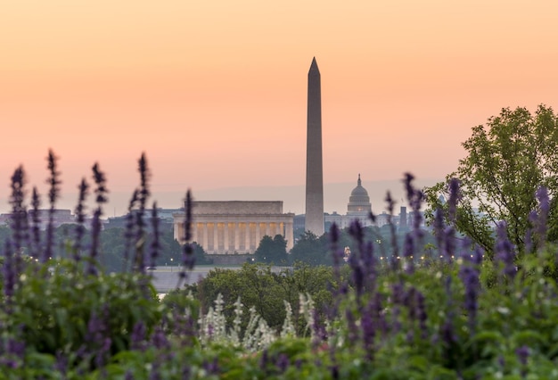 Aube des Pays-Bas Cotillon de Washington DC