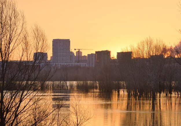 L'aube sur la rivière ob à novossibirsk hautes eaux sur la rivière arbres nus dans l'eau