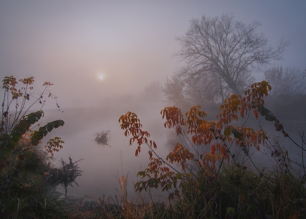 Photo l'aube sur la rivière