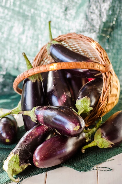 Aubergine fraîche dans un panier, une nouvelle récolte en gros plan