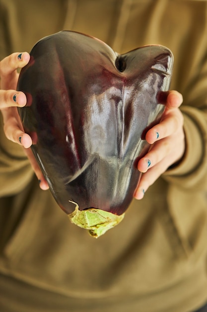 Aubergine laide en forme de coeur tient à deux mains. Concept drôle et anormal de déchets végétaux ou alimentaires.