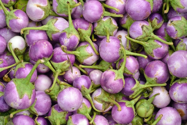 Aubergine