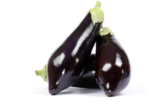 aubergine