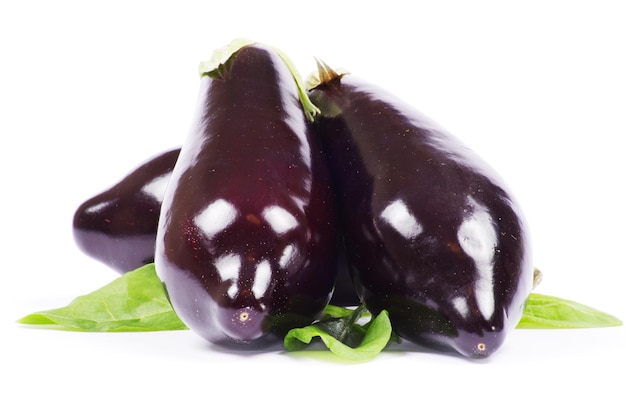 aubergine