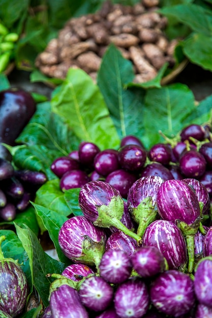 Aubergines au marché