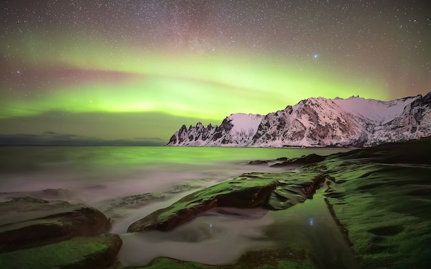 Aurore boréale sur l'Ersfjord. L'île de Senja la nuit. Norvège