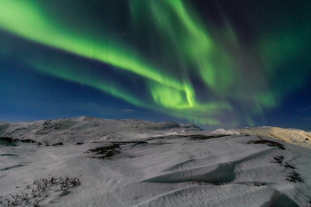 Aurores boréales au bord de l'océan Arctique