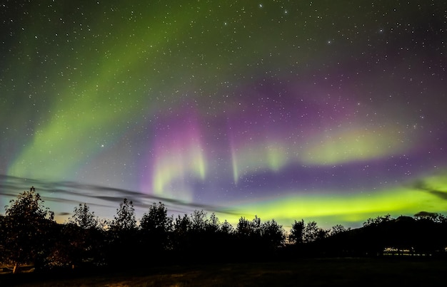 Aurores boréales au-dessus de l'Islande