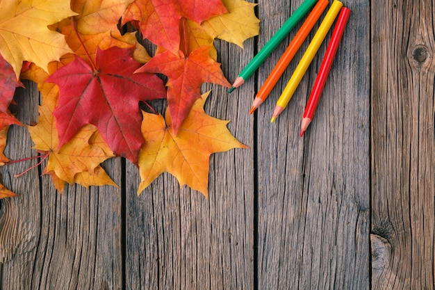 Automne Art Créatif Peinture Backgrounf Avec Des Crayons Et Des Feuilles D'érable