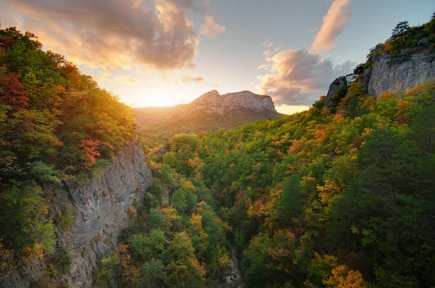 Automne en canyon