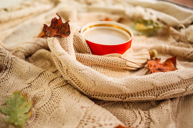 Automne Chaud. Tasse De Café Enveloppé Dans Un Pull En Laine Beige. Nature Morte.