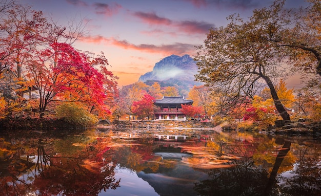 Un automne coloré avec de belles feuilles d'érable au temple de Baekyangsa dans le parc national de Naejangsan en Corée du Sud