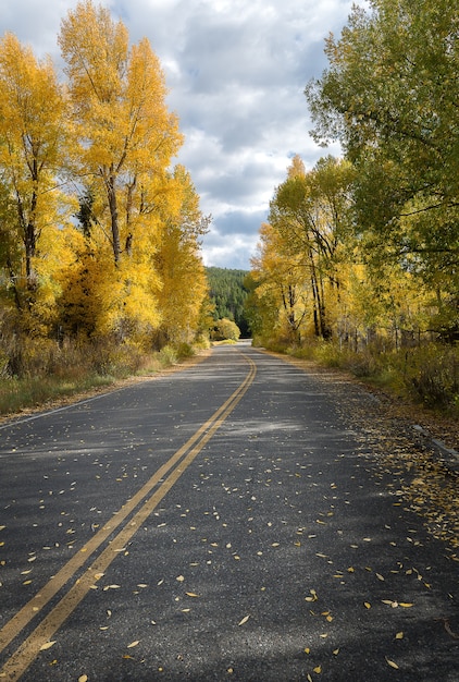 Automne coloré dans le parc national de Grand Teton