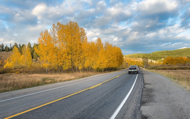 Automne coloré dans le parc national de Grand Teton