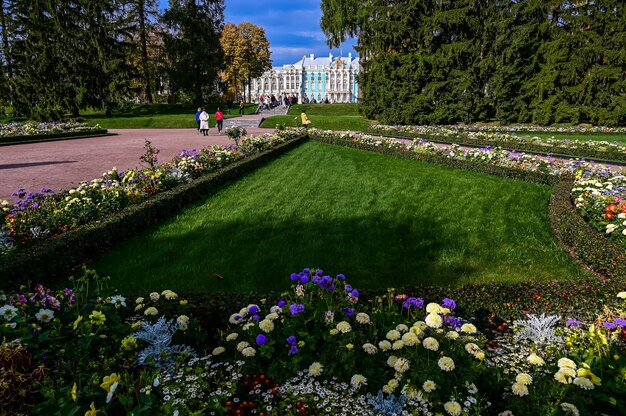 Automne coloré pushkin saint petersbourg russie cour arrière du palais catherine