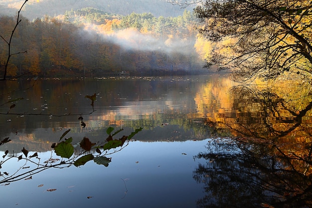 L'automne dans les bois Yedigoller Turquie