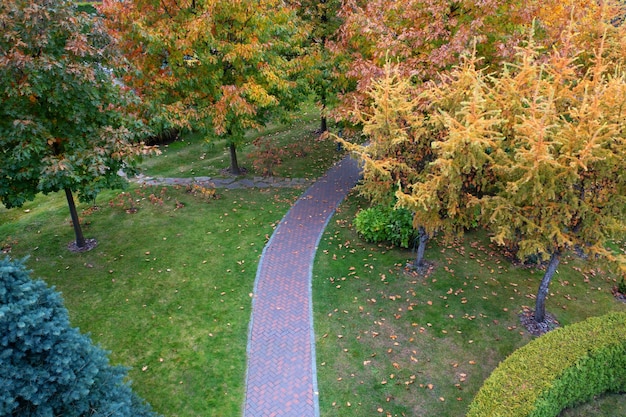 Automne dans le jardin à la française. plantes ornementales Aménagement paysager.