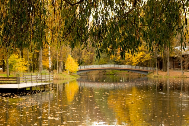 Automne dans le parc. Beau paysage naturel calme d'automne. Concept de beauté de la nature automnale.