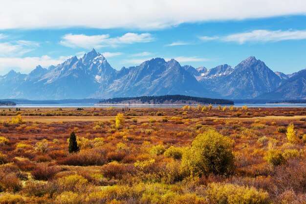 L'automne dans le parc national de Grand Teton, Wyoming