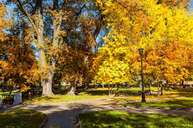 Automne dans le parc