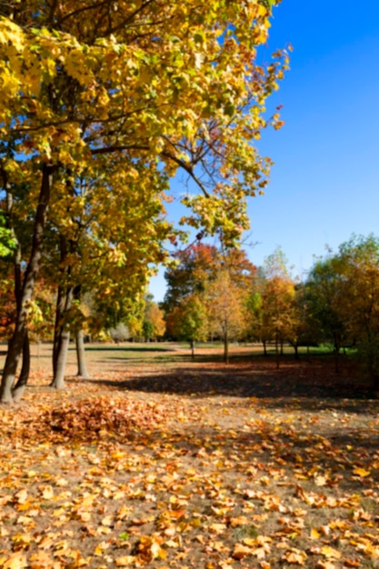 l&#39;automne dans le parc