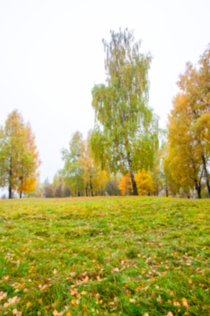 l&#39;automne dans le parc