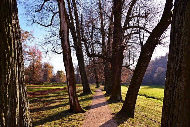 l&#39;automne dans le parc