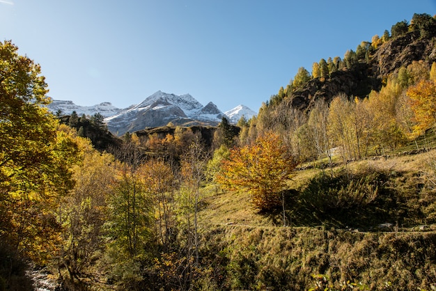 L'automne dans les Pyrénées