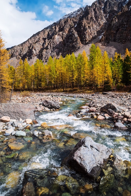 Automne dans la vallée de la rivière Aktru. Crête Severo-Chuysky, République de l'Altaï, Russie