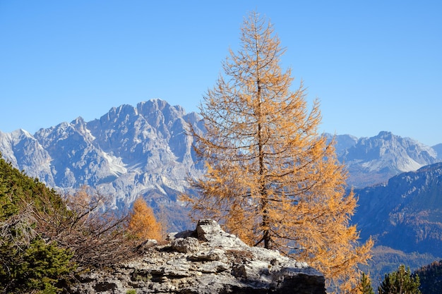 Automne Dolomites mountain rocky view Sudtirol Italie