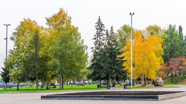 Automne doré avec de beaux arbres à l'extérieur avec un feuillage jaune