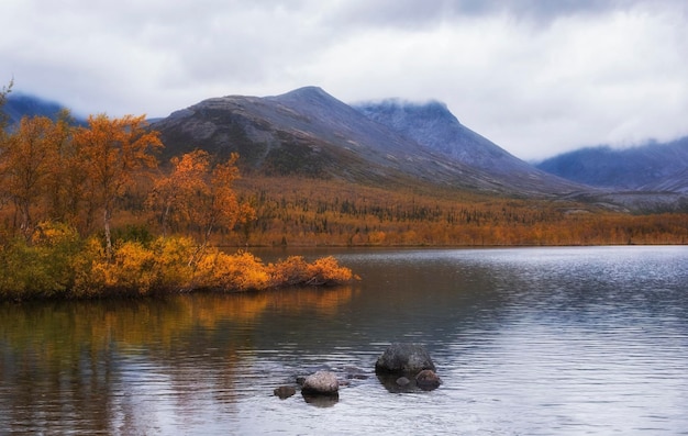 Automne doré dans les montagnes arctiques au-delà du cercle polaire arctique Vue sur un magnifique lac et des bouleaux jaunes par temps nuageux